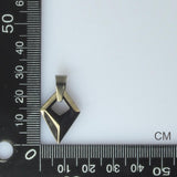 STAINLESS STEEL SELF-CONTROL PENDANT