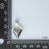 STAINLESS STEEL SELF-CONTROL PENDANT