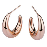 STAINLESS STEEL SHINY LOOK EARRING